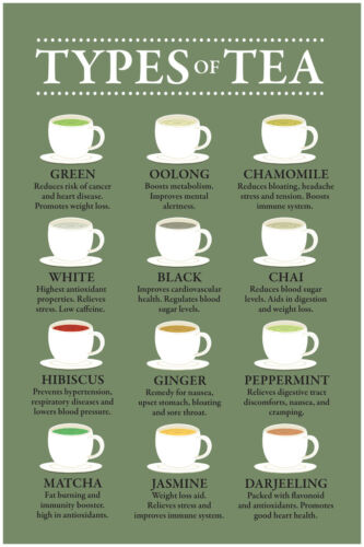 12x18 Types of Tea and Their Benefit Green Art Print Poster 12x18 Inch Poster