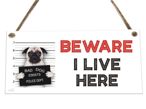 Beware I Live Here Dog Pug Quote Wooden Novelty Plaque Sign Gift fcp37 