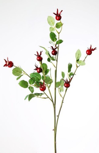 Églantier branche églantier Branche Art plante Art Fleur 77 cm 185103 f23