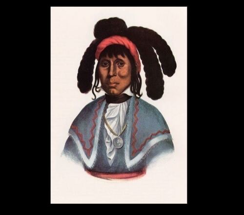 2nd Seminole War Seminole Chief Micanopy PHOTO Portrait Indian CRAZY ALLIGATOR
