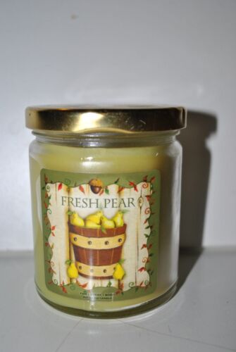 For Every Body Candles 6 to 10 Ounce Oz Your Choice Holiday Fruit Vanilla ++
