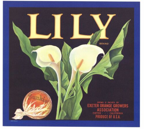 ***AN ORIGINAL LABEL*** LILY Vintage Exeter Orange Crate Label Calla Flower