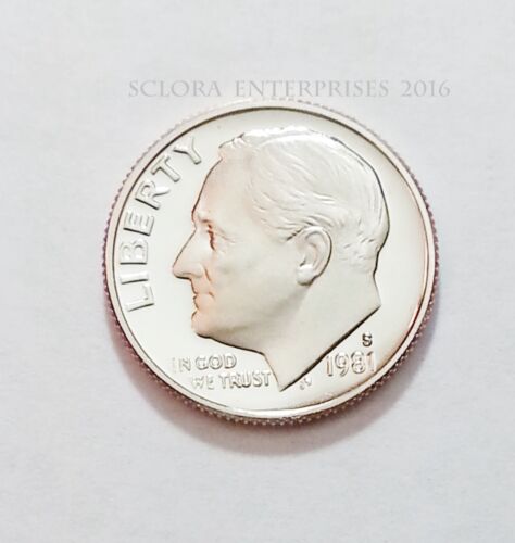 1 1981 S ROOSEVELT *PROOF* DIME *TYPE I *   **FREE SHIPPING** 