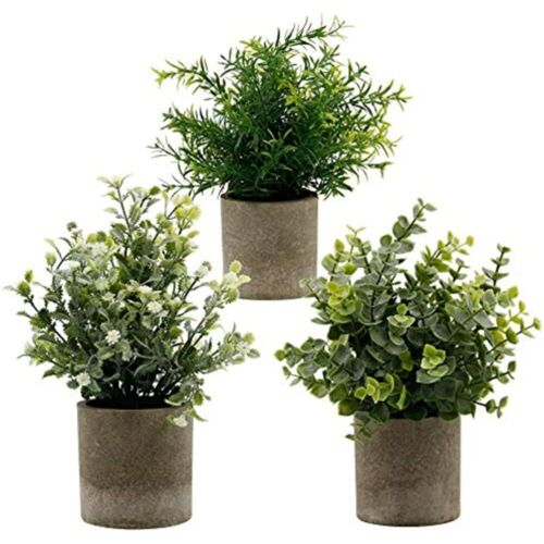 Details about  / Zcaukya Small Potted Artificial Plants Eucalyptus Fake Rosemary White Baby/'s Of