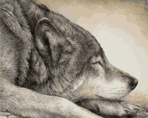 Wolf Fox Animal Paint By Number Kit DIY Acrylic Oil Painting On Canvas Art Decor 