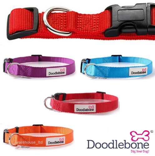 Doodlebone Dog Puppy Bold Durable Nylon Adjustable Collars 5 Sizes / 5 Colours