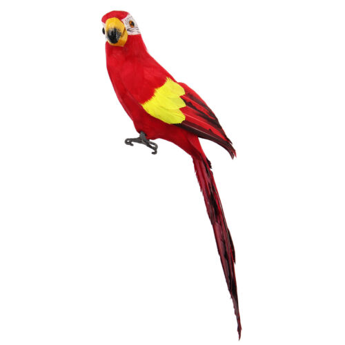45 cm artificielle Perroquets Oiseaux réaliste principal décor Budge taxidermy