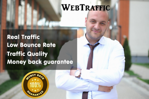 30 Days UNLlMITED Web Traffic Website