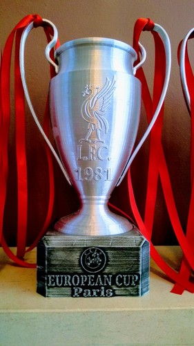 Liverpool football trophy collection #2