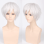 Anime HunterXHunter Killua Zoldyck Short Silver White Hair Cosplay Costume wig