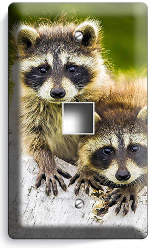 CUTE LITTLE RACCOONS  LIGHT SWITCH OUTLET WALL PLATE COVER BEDROOM ROOM HD DECOR