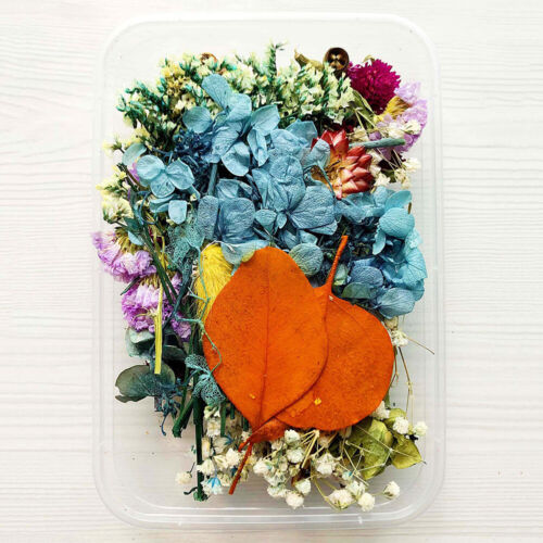 1 Box Bulk Mixed Dried Flowers DIY Epoxy Resin Filling Aromatherapy Home Art US