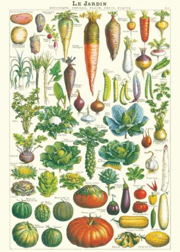 Vegetables Names Decorative Paper Sheet 20 x 28/" Size Education Sheet For Child