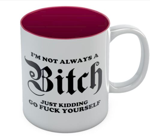 Novelty Office Tea Cup Ceramic Mug I/'m Not Always A Bitch Funny Coffee Mug