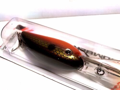 Choice of Color /& Size One Lure Bomber Fat Free Shad Fishing Lure