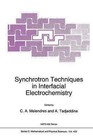 Synchrotron Techniques in Interfacial Electrochemistry by Springer (Paperback, 2010)