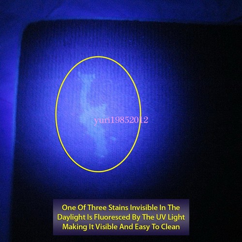 UV Glasses 21 LED UV Black Light Flashlight Torch for Dog Cat Urine Detector
