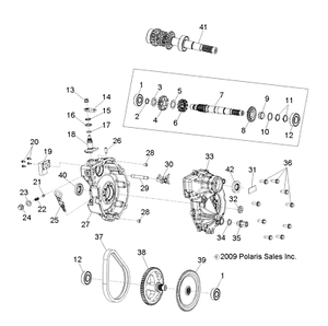 Polaris CHAIN SILENT 60P 3233111 New OEM