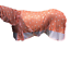 New Design Mesh Horse fly rug combo attached neck cover Star Print Pink & Orange
