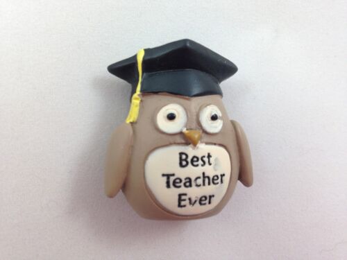 Best Brown Pocket Size Top Class OWL Thank You Teacher  Pebble Gift 