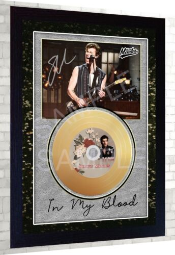 Shawn Mendes In my Blood Mini Gold Vinyl CD Record Signed Framed print 