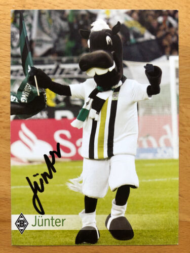 Borussia Mönchengladbach Autogrammkarte 2011-12 original signiert 1 AK aussuchen