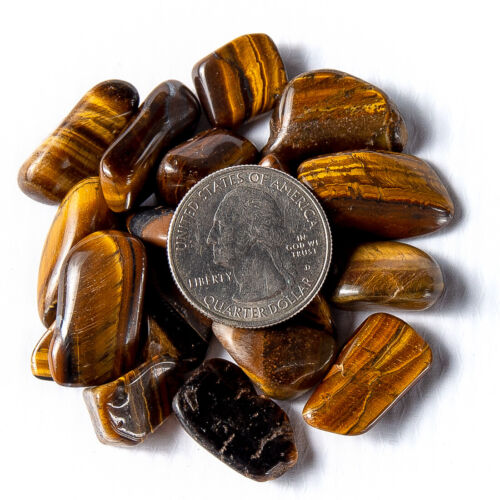 1/2 lb Tumbled Golden Tigers Eye Crystal Natural Small Gemstones 60-90 Stones 