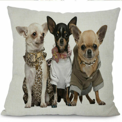 Case Chihuahua Cover Cotton Print Linen Pillow Home 18" Cushion Decoration 