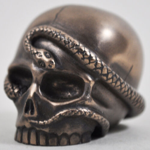 Small Snake Skulll Cold Cast Bronze Sculpture Ornament Design Clinic H5cm 16074