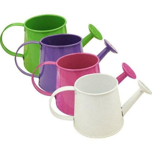 Garden Watering Sprinkler Can Plant Water Spray Indoor Flower Spray Vintage A3D5