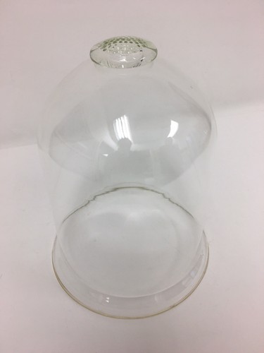 Plate not included Large Glass Display Dome