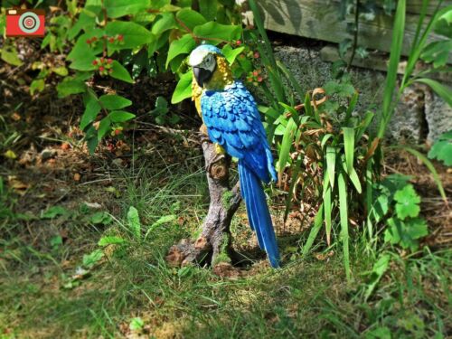 VIVID ARTS A SUPERB LARGE SIZE MACAW FIGURE FOR HOME /& GARDEN VERY REALISTIC