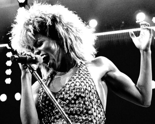 Tina Turner 1980/'s in concert pose singing 12x18  Poster