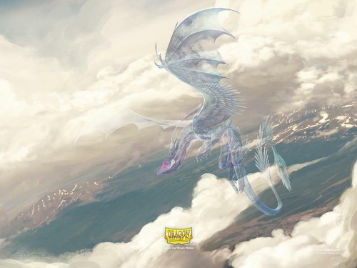 100 Clear AT-10001 Dragon Shield Classic//GLOSS STANDARD Size Card Sleeves