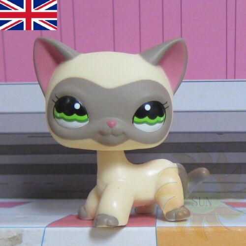 Littlest Pet Shop animaux collection LPS jouets enfant #1116 masqué Pussy Chat Kitty