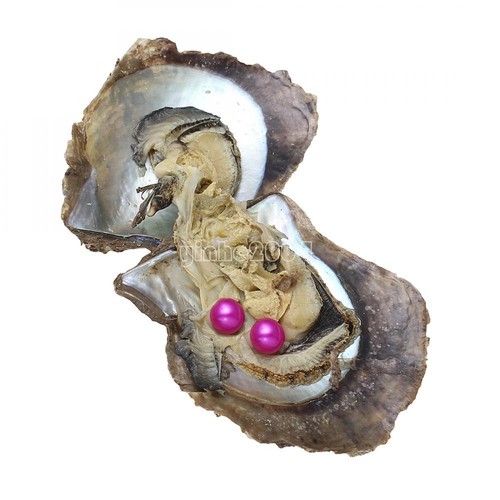 Bourse américaine 10PCS Natural Akoya jumeaux Perles Oyster 7-8 mm mix color SEA PEARL
