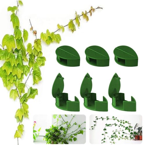 100 Pcs Plant Climbing Wall Fixture Clips Invisible Wall Vines Fixing Clips US