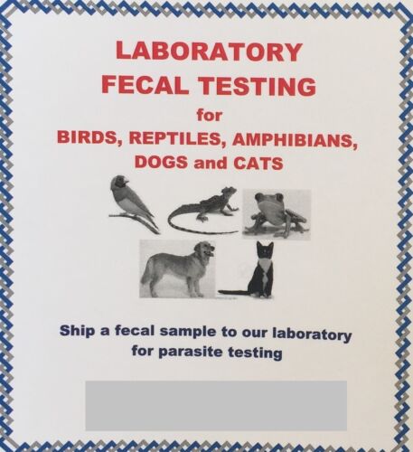 Amphibians Reptiles Dogs and Cats Fecal Testing Kit for Birds 