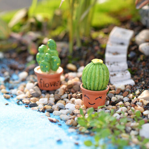 DIY Mini Miniature Fairy Garden Ornament Decor Pot Craft Cactus Accessories CY 