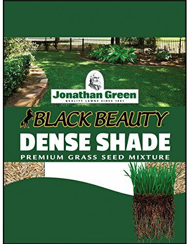 3 lb Jonathan Green JOG10600 40600 Dense Shade Grass Seed 3-Pound 