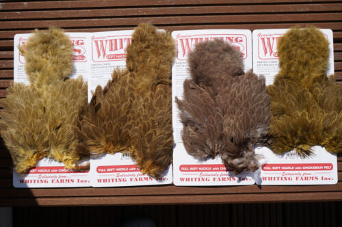 Whiting BRAHMA HEN Softhackle /& Chickabou mottled gray dyed 9 Farben Auswahl
