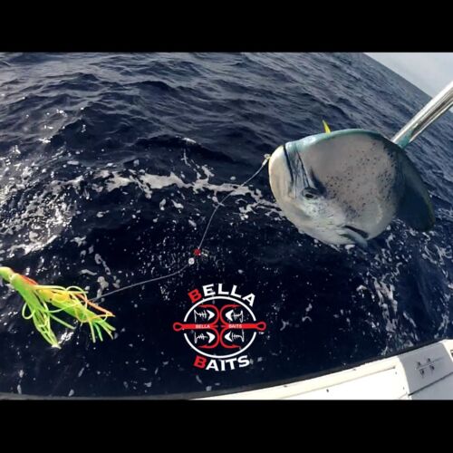 Daisy Chain Mahi Tuna Trolling Lure Squid Fishing 80lb Leader Offshore Saltwater 