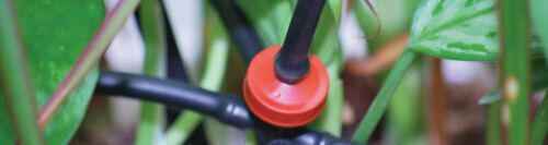 13mm ID Black LDPE Water Pipe Hose Garden drip Irrigation Details about   Gardiflex 16mm 