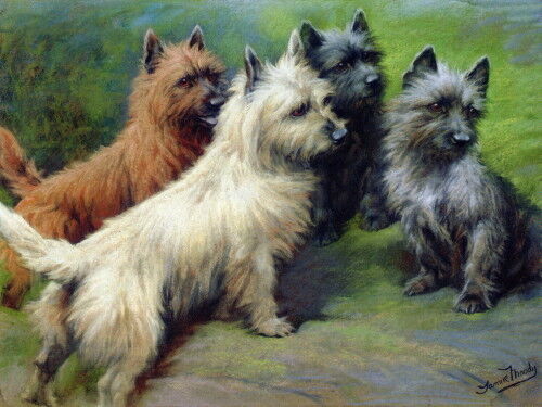 c1900 Moody~Four Cairn Terrier Dog Dogs on Rock~ NEW Large Note Cards