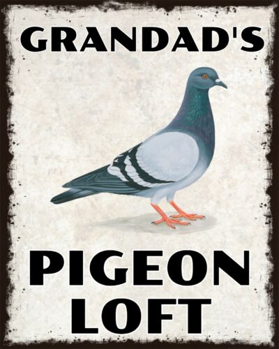 Grandad's pigeon loft ou tout nom Racing Homing Plaque Métal Aluminium Signe 2036 