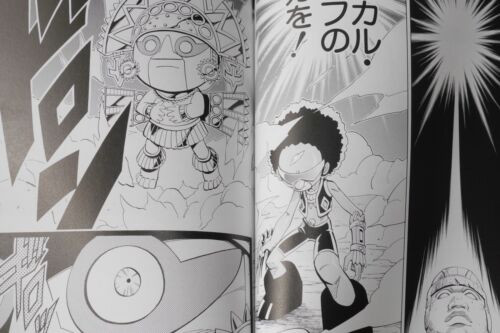 JAPAN Hiroyuki Takei manga Shaman King Kanzenban vol.19 