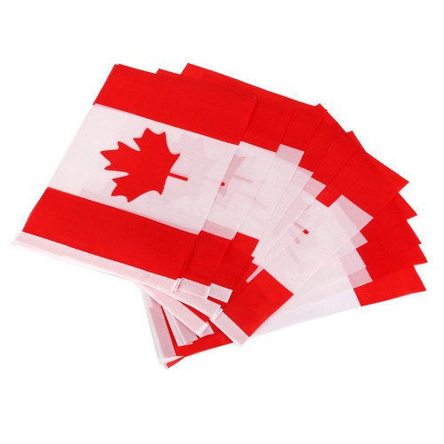 12Pcs Canada Hand Waving Flag Canadian Small National Flags Pole Banners NEW