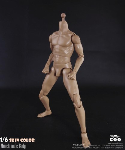 1//6 Standard Muscular male Body COOMODEL BD009 BD003 B34003 for hot toys ❶USA❶