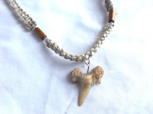Hawaiian Surfer Style Fossil Shark Tooth Necklace 18” Great Sharks Teeth
