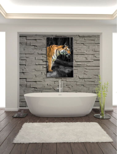 knurrender Tiger auf Steinen Leinwandbild Wanddeko Kunstdruck 